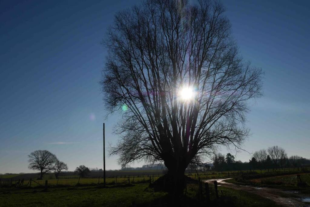 Gite L 'Ecurie A La Campagne Flines-Les-Mortagne Kültér fotó