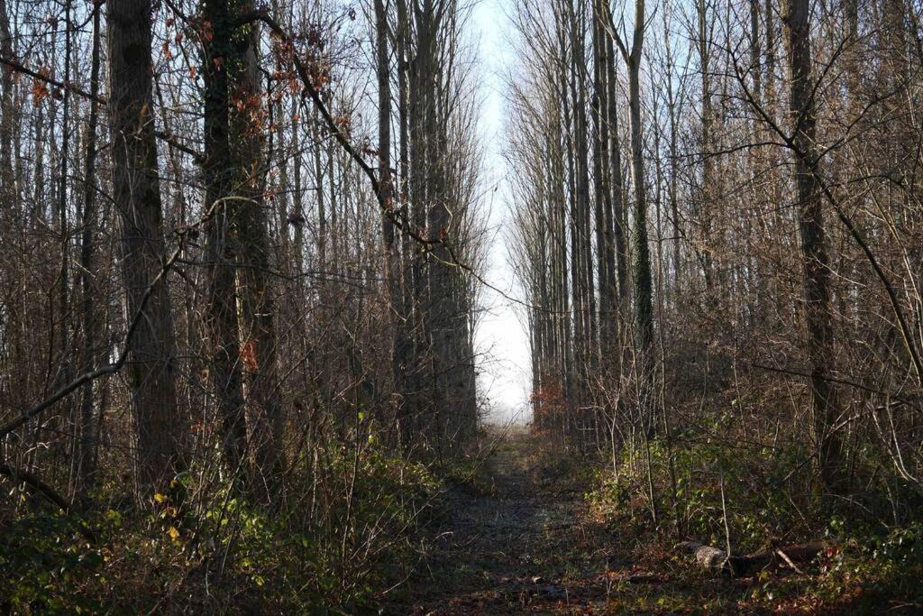 Gite L 'Ecurie A La Campagne Flines-Les-Mortagne Kültér fotó